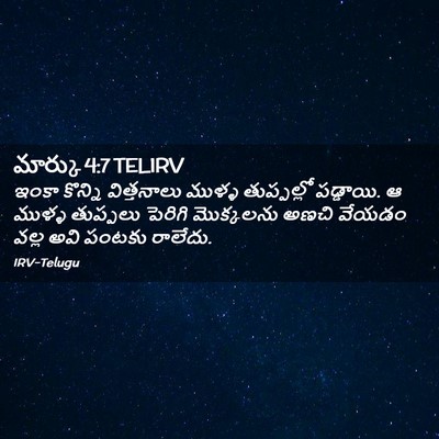 Picture 02 - మార్కు 4:7 TELIRV - ఇంకా కొన్ని - Bible Verse Picture