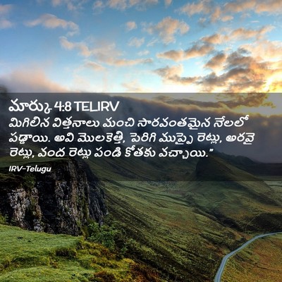 Picture 02 - మార్కు 4:8 TELIRV - మిగిలిన విత్తనాలు - Bible Verse Picture