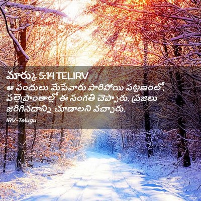 Picture 02 - మార్కు 5:14 TELIRV - ఆ పందులు మేపేవారు - Bible Verse Picture