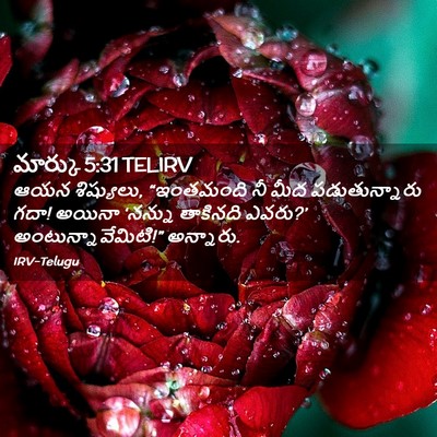 Picture 02 - మార్కు 5:31 TELIRV - ఆయన శిష్యులు, - Bible Verse Picture