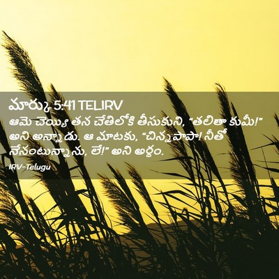 Picture 02 - మార్కు 5:41 TELIRV - ఆమె చెయ్యి తన - Bible Verse Picture