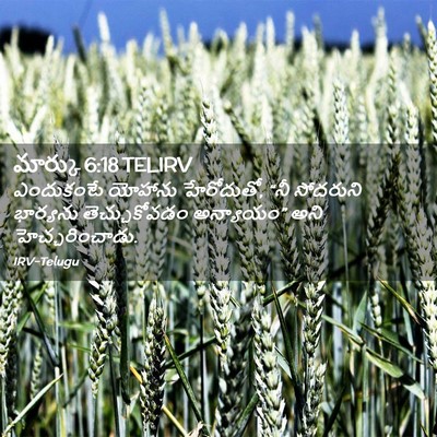 Picture 02 - మార్కు 6:18 TELIRV - ఎందుకంటే యోహాను - Bible Verse Picture
