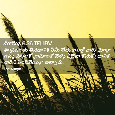 Picture 02 - మార్కు 6:36 TELIRV - ఈ ప్రజలకు - Bible Verse Picture
