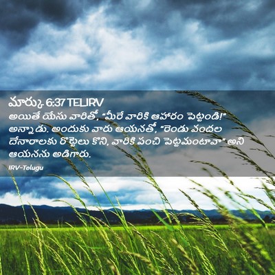 Picture 02 - మార్కు 6:37 TELIRV - అయితే యేసు వారితో, - Bible Verse Picture