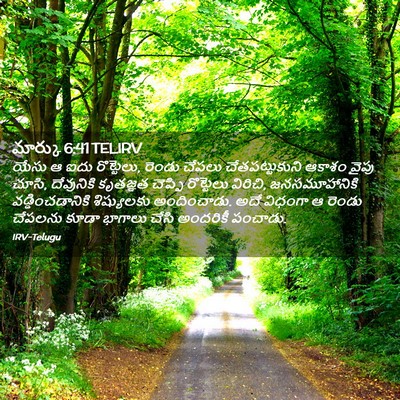 Picture 02 - మార్కు 6:41 TELIRV - యేసు ఆ ఐదు - Bible Verse Picture