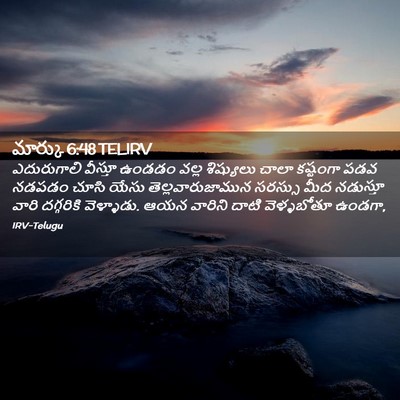 Picture 02 - మార్కు 6:48 TELIRV - ఎదురుగాలి వీస్తూ - Bible Verse Picture