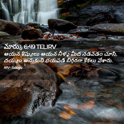 Picture 02 - మార్కు 6:49 TELIRV - ఆయన శిష్యులు ఆయన - Bible Verse Picture