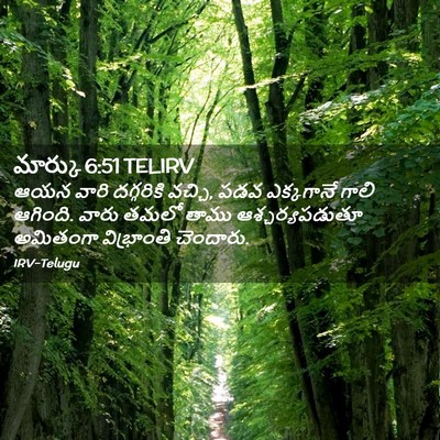 Picture 02 - మార్కు 6:51 TELIRV - ఆయన వారి దగ్గరికి - Bible Verse Picture