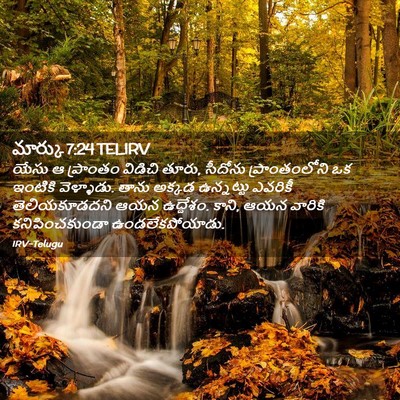 Picture 02 - మార్కు 7:24 TELIRV - యేసు ఆ ప్రాంతం - Bible Verse Picture