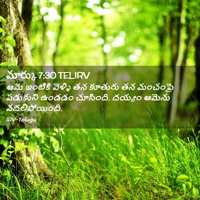 Picture 02 - మార్కు 7:30 TELIRV - ఆమె ఇంటికి వెళ్ళి - Bible Verse Picture