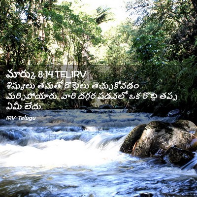 Picture 02 - మార్కు 8:14 TELIRV - శిష్యులు తమతో - Bible Verse Picture