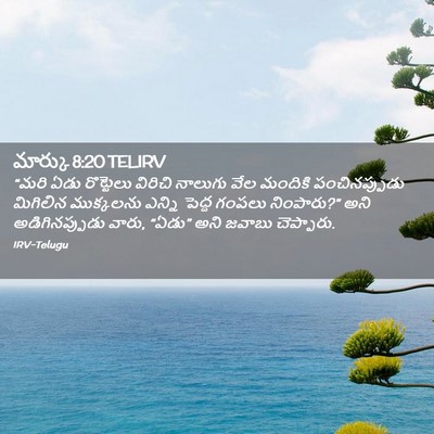 Picture 02 - మార్కు 8:20 TELIRV - “మరి ఏడు రొట్టెలు - Bible Verse Picture
