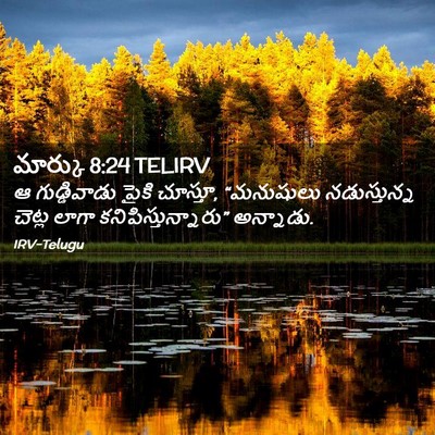 Picture 02 - మార్కు 8:24 TELIRV - ఆ గుడ్డివాడు పైకి - Bible Verse Picture