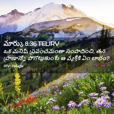 Picture 02 - మార్కు 8:36 TELIRV - ఒక మనిషి - Bible Verse Picture