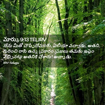 Picture 02 - మార్కు 9:13 TELIRV - నేను మీతో - Bible Verse Picture