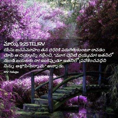 Picture 02 - మార్కు 9:25 TELIRV - యేసు జనసమూహం తన - Bible Verse Picture