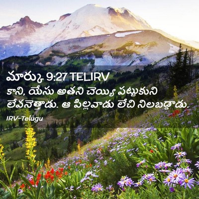 Picture 02 - మార్కు 9:27 TELIRV - కాని, యేసు అతని - Bible Verse Picture