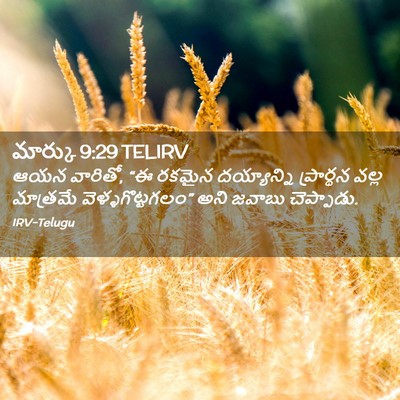 Picture 02 - మార్కు 9:29 TELIRV - ఆయన వారితో, “ఈ - Bible Verse Picture