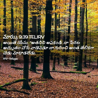 Picture 02 - మార్కు 9:39 TELIRV - అయితే యేసు, - Bible Verse Picture