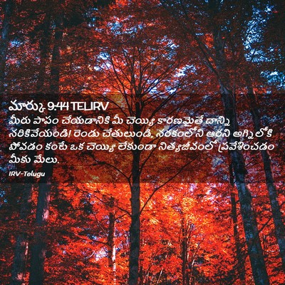 Picture 02 - మార్కు 9:44 TELIRV - మీరు పాపం - Bible Verse Picture