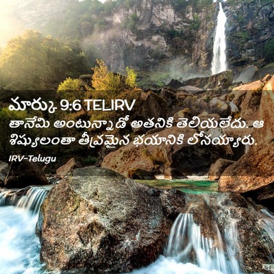 Picture 02 - మార్కు 9:6 TELIRV - తానేమి అంటున్నాడో - Bible Verse Picture