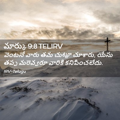 Picture 02 - మార్కు 9:8 TELIRV - వెంటనే వారు తమ - Bible Verse Picture