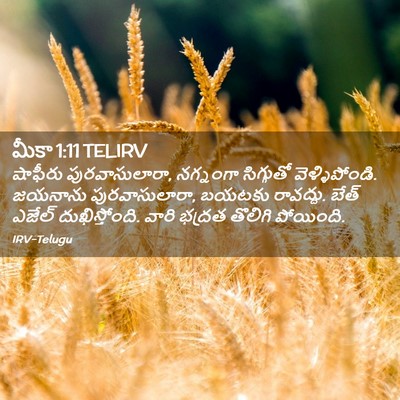 Picture 02 - మీకా 1:11 TELIRV - షాఫీరు - Bible Verse Picture