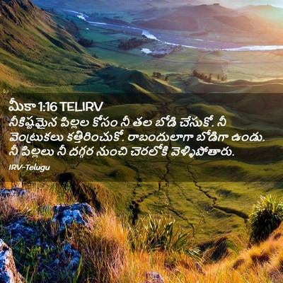 Picture 02 - మీకా 1:16 TELIRV - నీకిష్టమైన పిల్లల - Bible Verse Picture