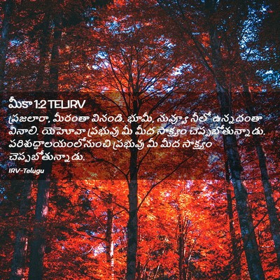 Picture 02 - మీకా 1:2 TELIRV - ప్రజలారా, మీరంతా - Bible Verse Picture