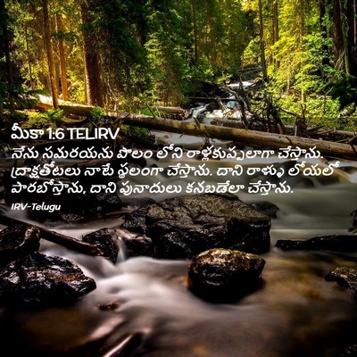 Picture 02 - మీకా 1:6 TELIRV - నేను సమరయను పొలం - Bible Verse Picture