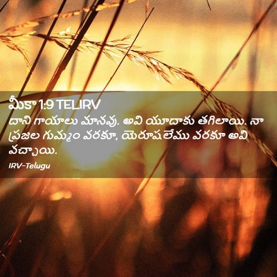 Picture 02 - మీకా 1:9 TELIRV - దాని గాయాలు మానవు. - Bible Verse Picture