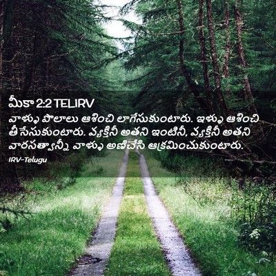 Picture 02 - మీకా 2:2 TELIRV - వాళ్ళు పొలాలు - Bible Verse Picture