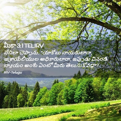 Picture 02 - మీకా 3:1 TELIRV - నేనిలా చెప్పాను. - Bible Verse Picture