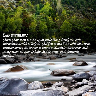 Picture 02 - మీకా 3:11 TELIRV - ప్రజల ప్రధానులు - Bible Verse Picture