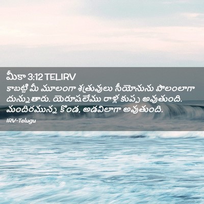 Picture 02 - మీకా 3:12 TELIRV - కాబట్టి మీ మూలంగా - Bible Verse Picture