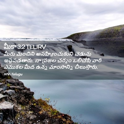 Picture 02 - మీకా 3:2 TELIRV - మీరు మంచిని - Bible Verse Picture