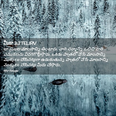 Picture 02 - మీకా 3:3 TELIRV - నా ప్రజల - Bible Verse Picture