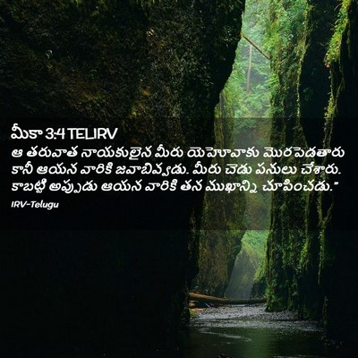 Picture 02 - మీకా 3:4 TELIRV - ఆ తరువాత నాయకులైన - Bible Verse Picture