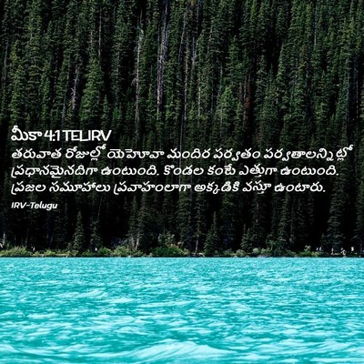 Picture 02 - మీకా 4:1 TELIRV - తరువాత రోజుల్లో - Bible Verse Picture