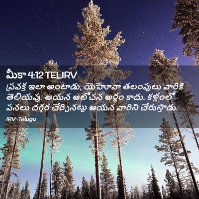 Picture 02 - మీకా 4:12 TELIRV - ప్రవక్త ఇలా - Bible Verse Picture