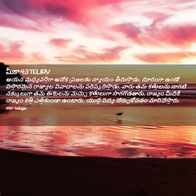 Picture 02 - మీకా 4:3 TELIRV - ఆయన మధ్యవర్తిగా - Bible Verse Picture