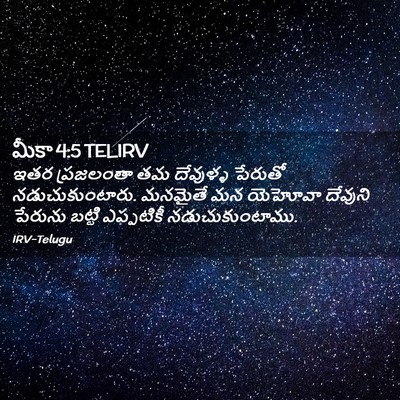 Picture 02 - మీకా 4:5 TELIRV - ఇతర ప్రజలంతా తమ - Bible Verse Picture