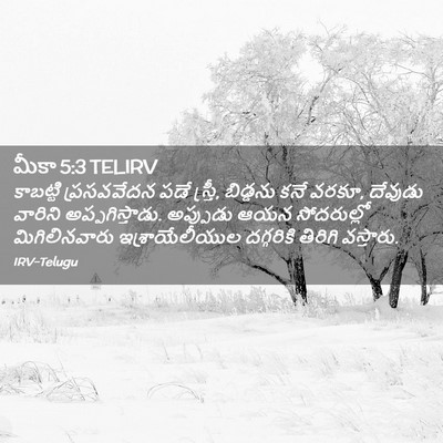 Picture 02 - మీకా 5:3 TELIRV - కాబట్టి ప్రసవవేదన - Bible Verse Picture