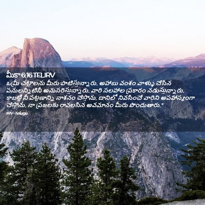 Picture 02 - మీకా 6:16 TELIRV - ఒమ్రీ చట్టాలను - Bible Verse Picture