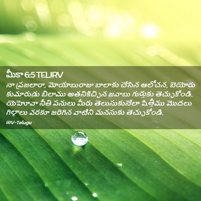 Picture 02 - మీకా 6:5 TELIRV - నా ప్రజలారా, - Bible Verse Picture