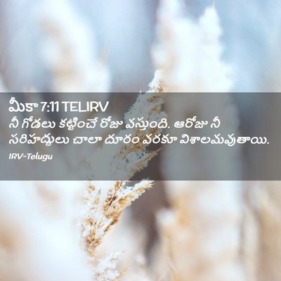 Picture 02 - మీకా 7:11 TELIRV - నీ గోడలు కట్టించే - Bible Verse Picture