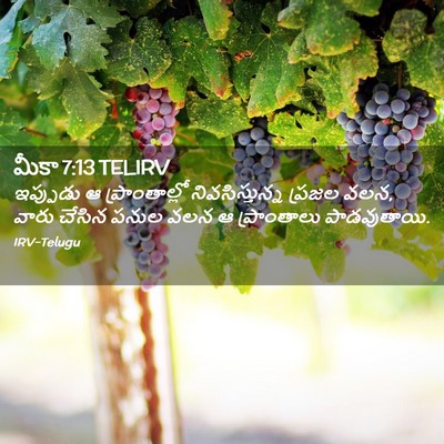 Picture 02 - మీకా 7:13 TELIRV - ఇప్పుడు ఆ - Bible Verse Picture