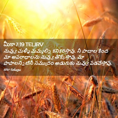 Picture 02 - మీకా 7:19 TELIRV - నువ్వు మళ్ళీ - Bible Verse Picture