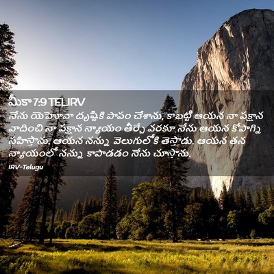 Picture 02 - మీకా 7:9 TELIRV - నేను యెహోవా - Bible Verse Picture