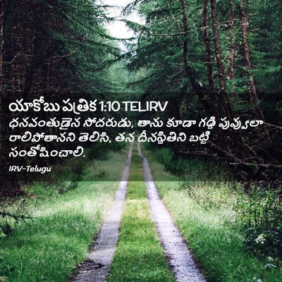 Picture 02 - యాకోబు పత్రిక 1:10 TELIRV - ధనవంతుడైన - Bible Verse Picture